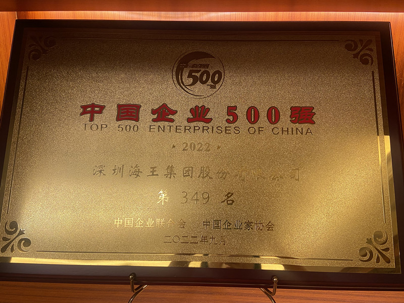 中國企業(yè)500強(qiáng) 第349名 獎牌.jpg